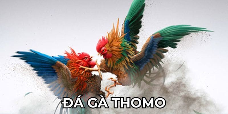 Giới thiệu về đá gà Thomo